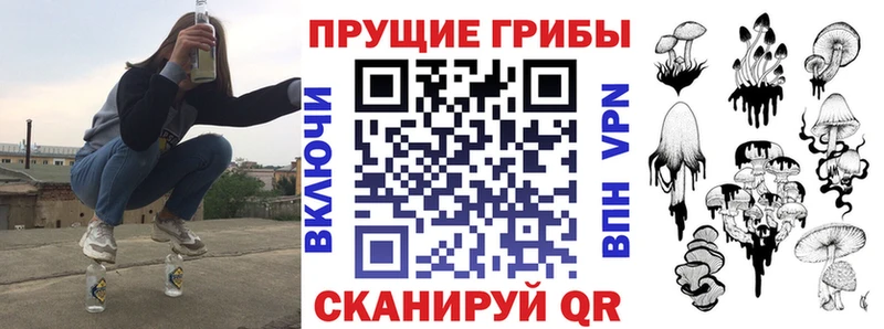 Галлюциногенные грибы Psilocybine cubensis  darknet состав  Удачный 